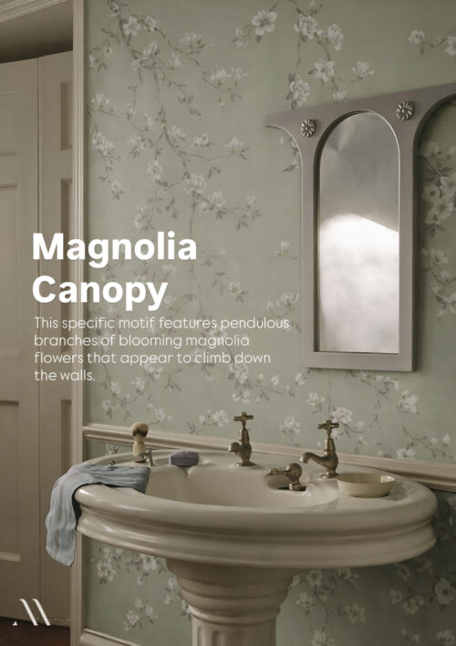 magnolia canopy