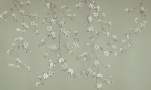 magnolia canopy
